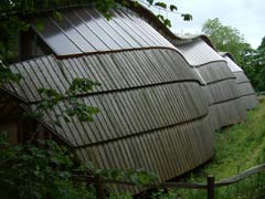 gridshell building