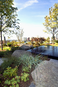 massgen-healing_garden1.jpg