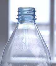 BOTTLE-sm.jpg